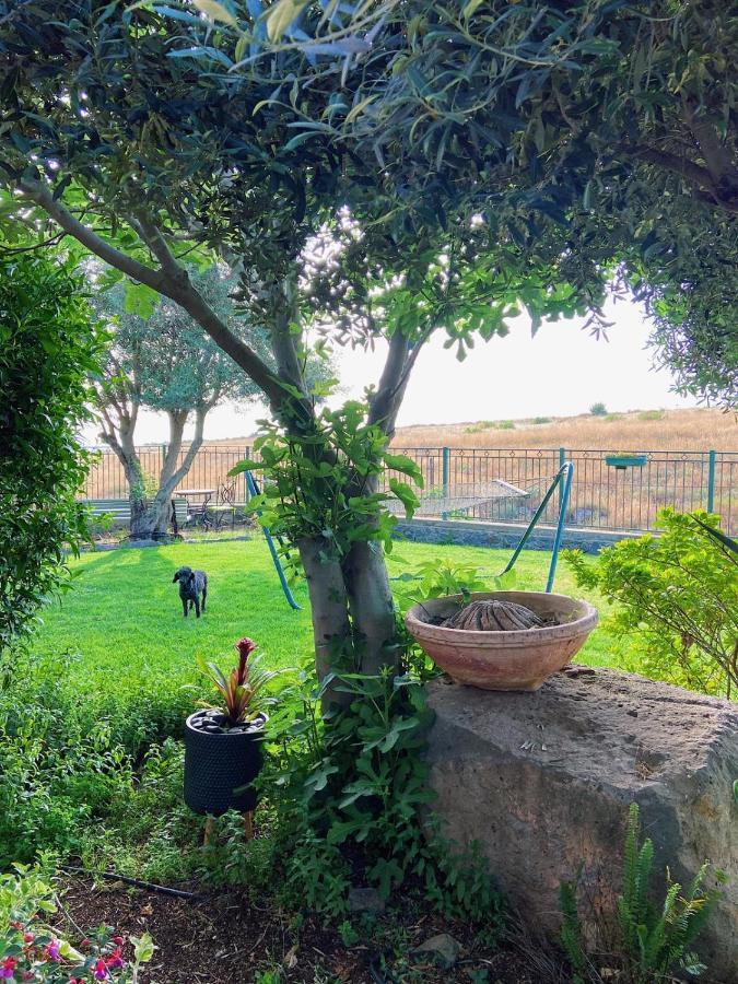 Julie'S Cabins Neot Golan Exterior foto